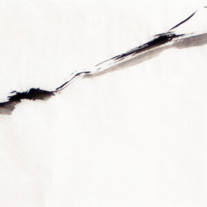 Abstracto tinta china 15
