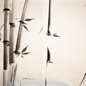 Abstracto tinta china 21