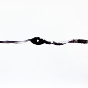 Abstracto tinta china 26