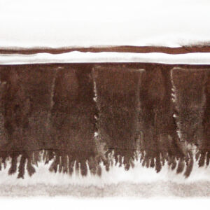 Abstracto tinta china 30