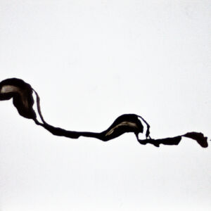 Abstracto tinta china 34