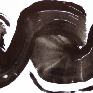 Abstracto tinta china 44
