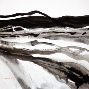 Abstracto tinta china 59