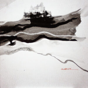 Abstracto tinta china 60