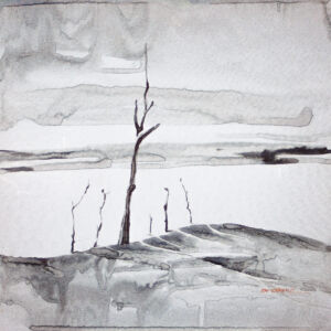 Abstracto tinta china 63