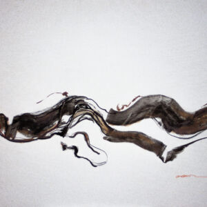 Abstracto tinta china 67