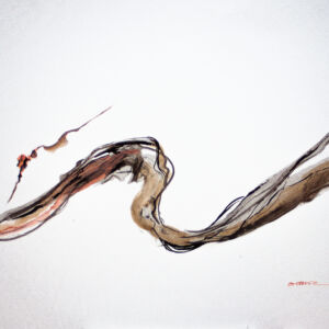 Abstracto tinta china 68