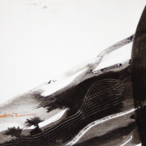 Abstracto tinta china 72