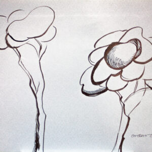 Varios dibujo 10