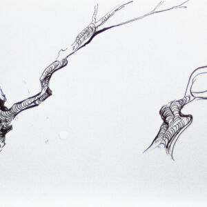 Varios dibujo 12