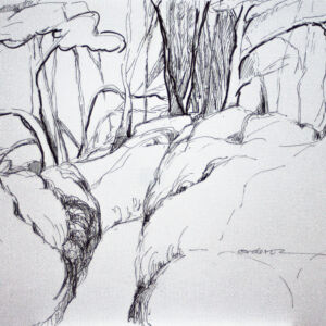 Varios dibujo 14