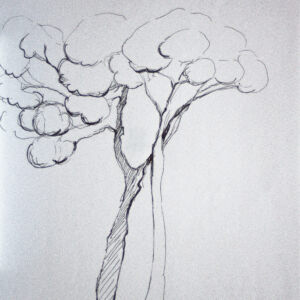 Varios dibujo 21