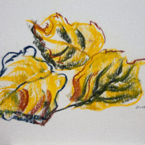 Varios dibujo 05
