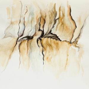 Abstracto textura natura cortezas 12