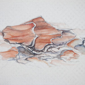 Abstracto textura natura cortezas 15