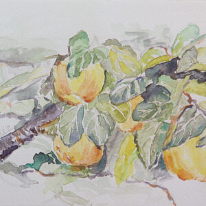 Cuadros de frutas 01