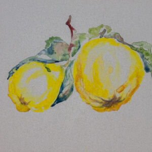 Cuadros de frutas 15