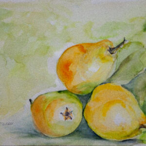 Cuadros de frutas 19