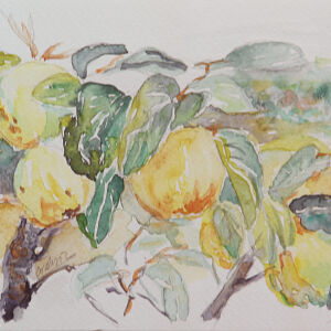 Cuadros de frutas 02