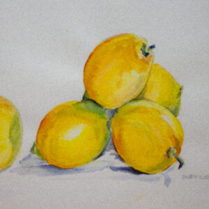 Cuadros de frutas 20