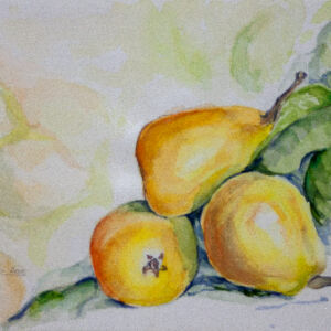 Cuadros de frutas 22