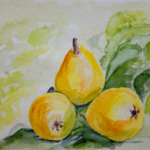 Cuadros de frutas 23