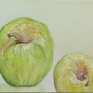 Cuadros de frutas 04