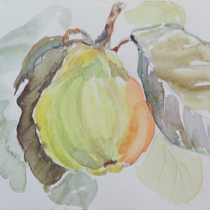 Cuadros de frutas 06