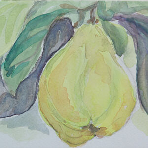 Cuadros de frutas 07