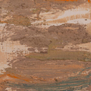 Abstracto textura natura carga 13