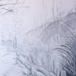 Paisajes arboles 11