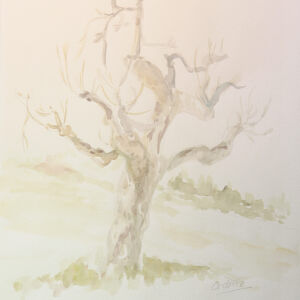 Paisajes arboles 12