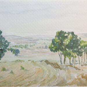 Paisajes arboles 17