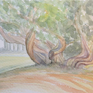 Paisajes arboles 19