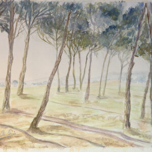 Paisajes arboles 02