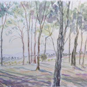 Paisajes arboles 21