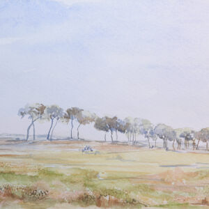 Paisajes arboles 23