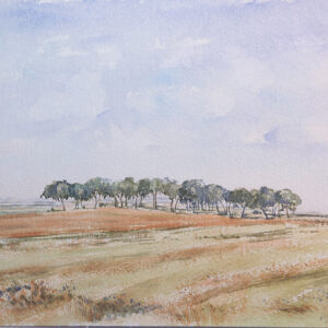 Paisajes arboles 24