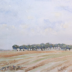 Paisajes arboles 25