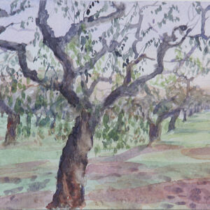 Paisajes arboles 27