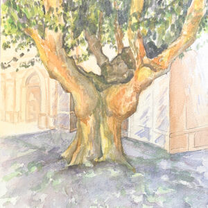 Paisajes arboles 33