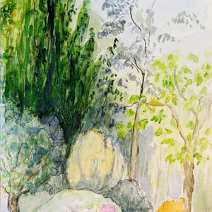 Paisajes arboles 37