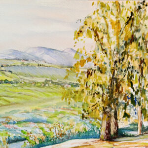 Paisajes arboles 39