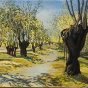 Paisajes arboles 04
