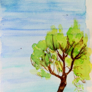 Paisajes arboles 41