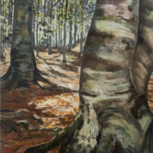 Paisajes arboles 50