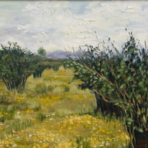 Paisajes arboles 51