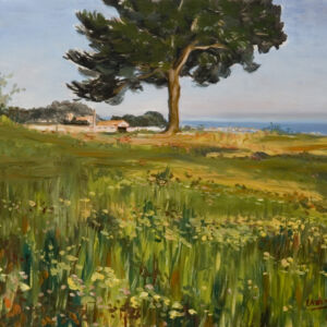 Paisajes arboles 52