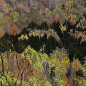 Paisajes arboles 07