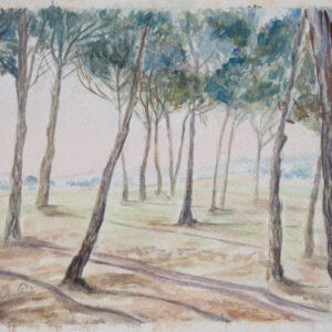Paisajes arboles 70